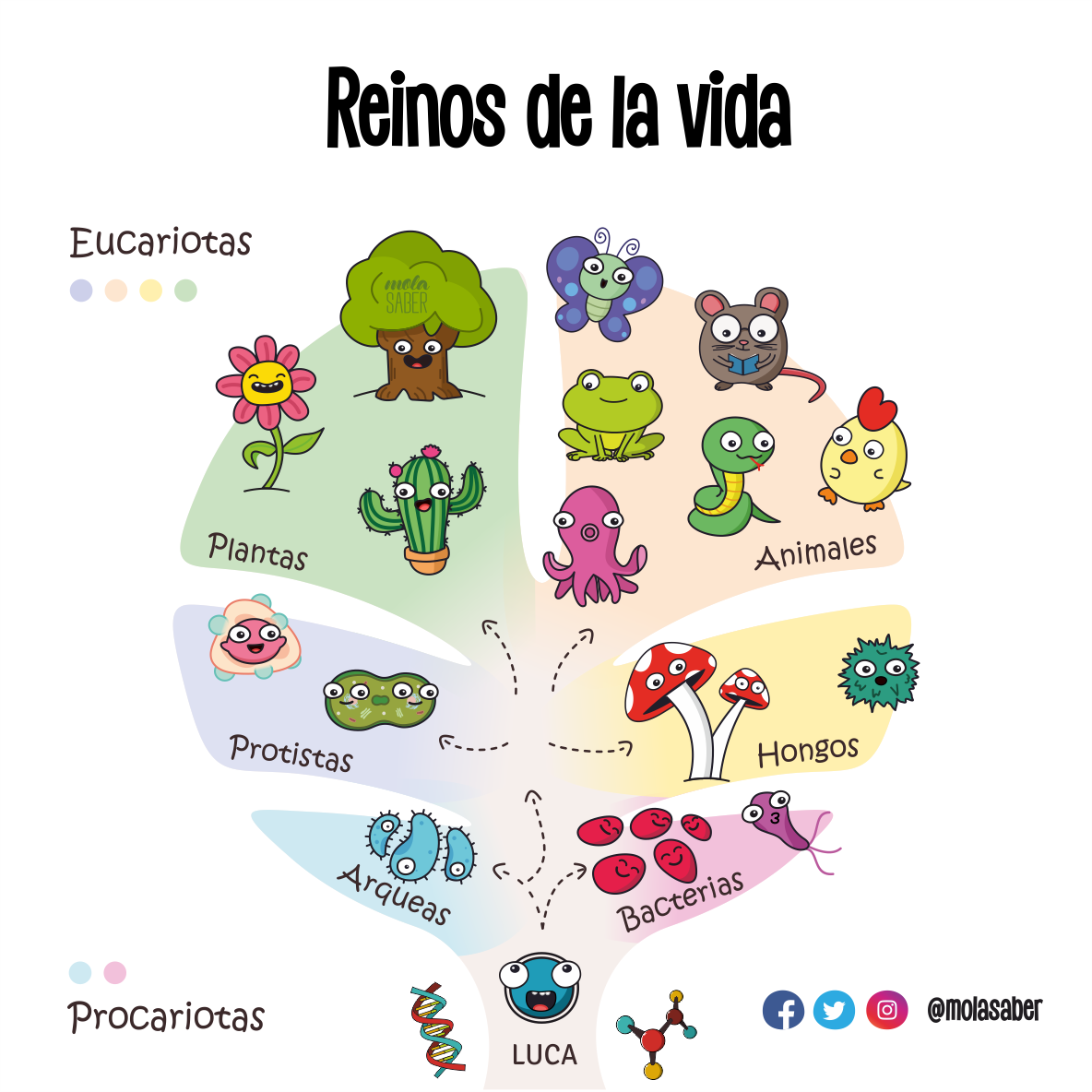 5 reinos 3 dominios 