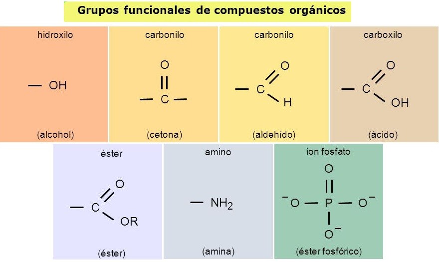 Grupos funcionais. Imaxes 