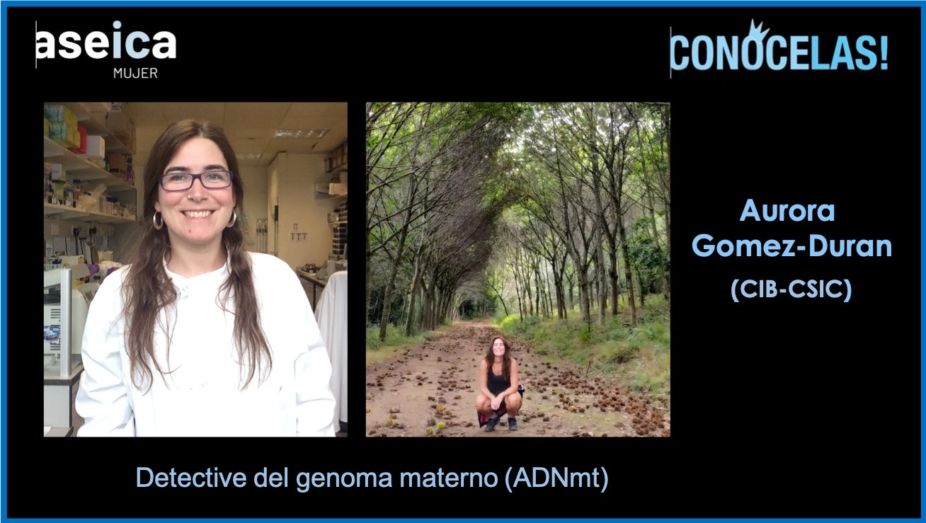 3 Aurora Gomez-Duran ASEICA