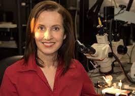 foto de Susana Martínez Conde 