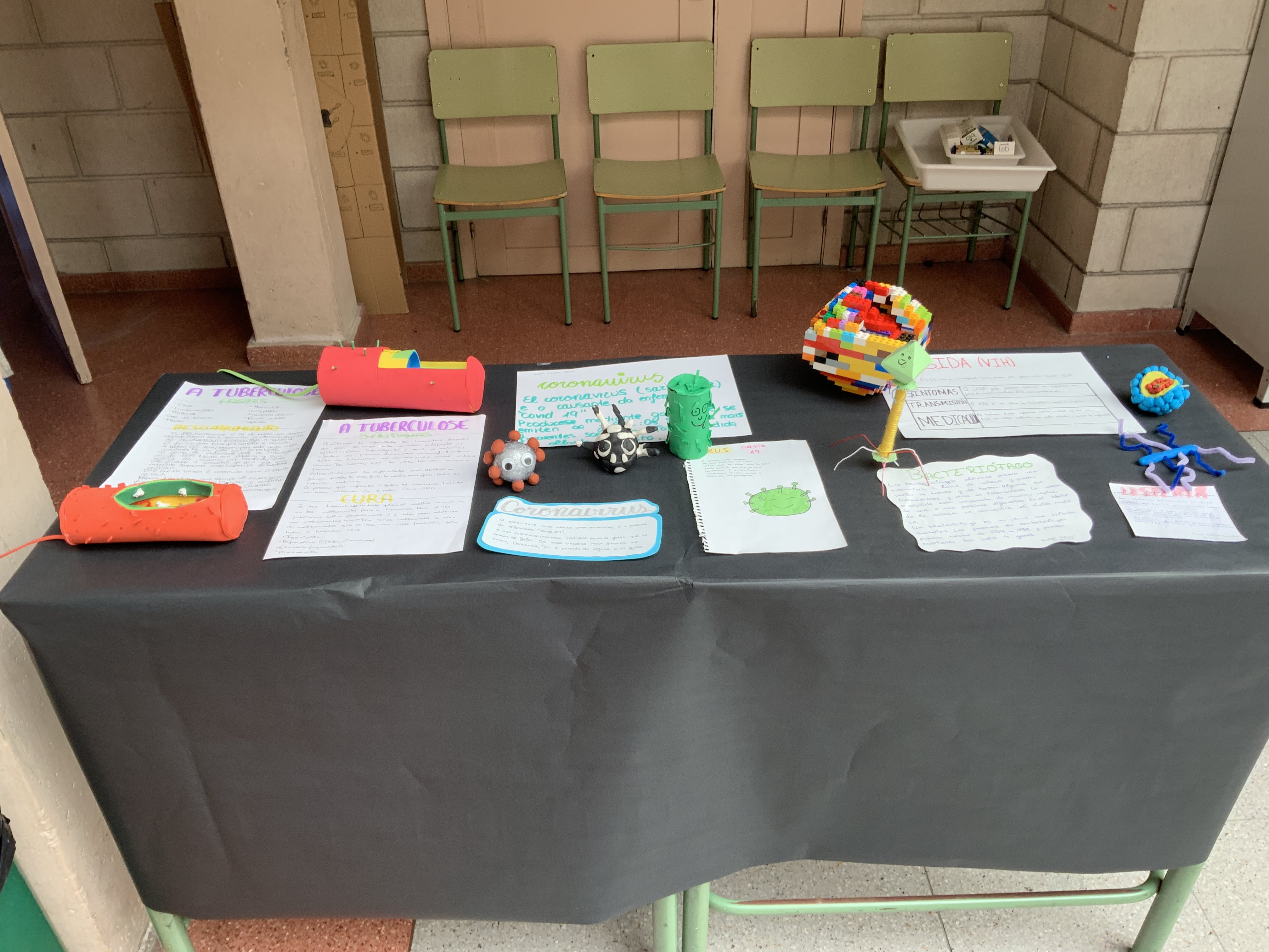 Microorganismos 1º ESO 