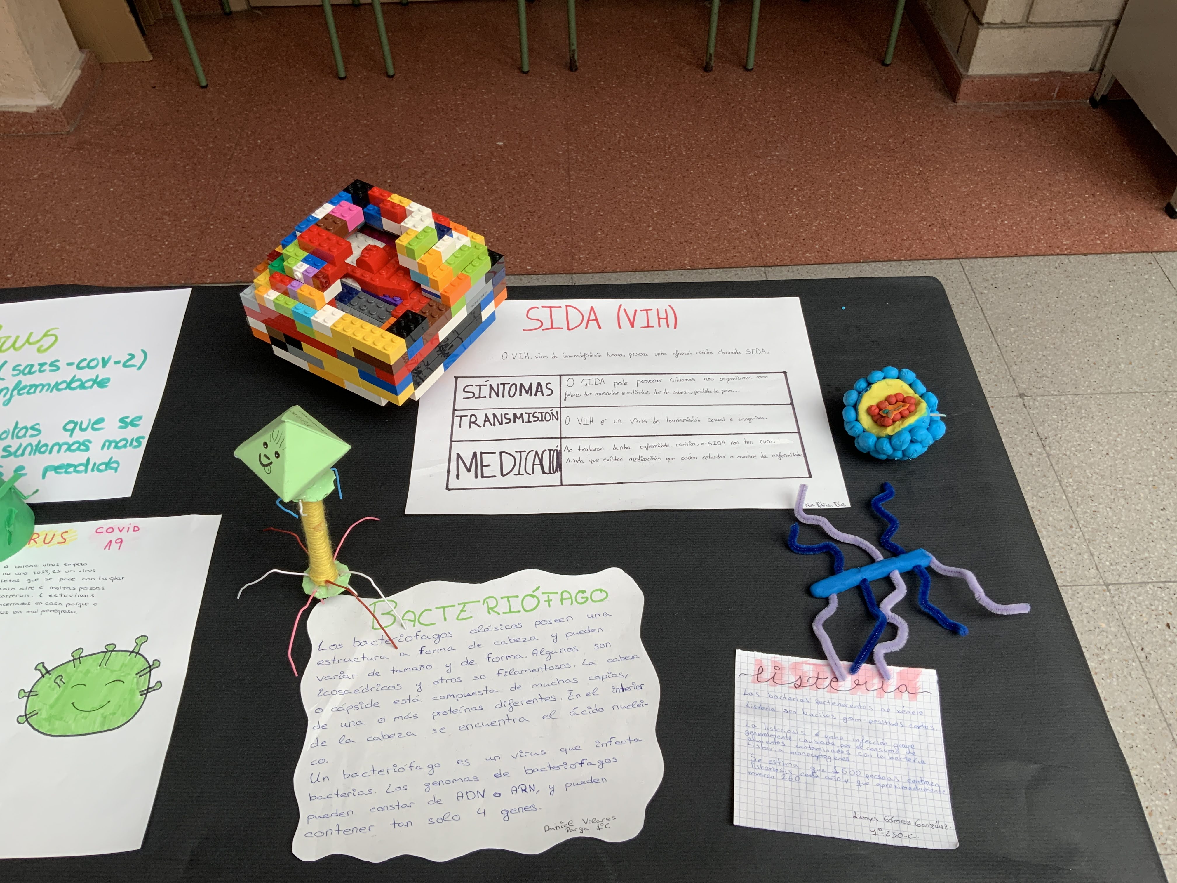 Microorganismos 2 1º ESO 