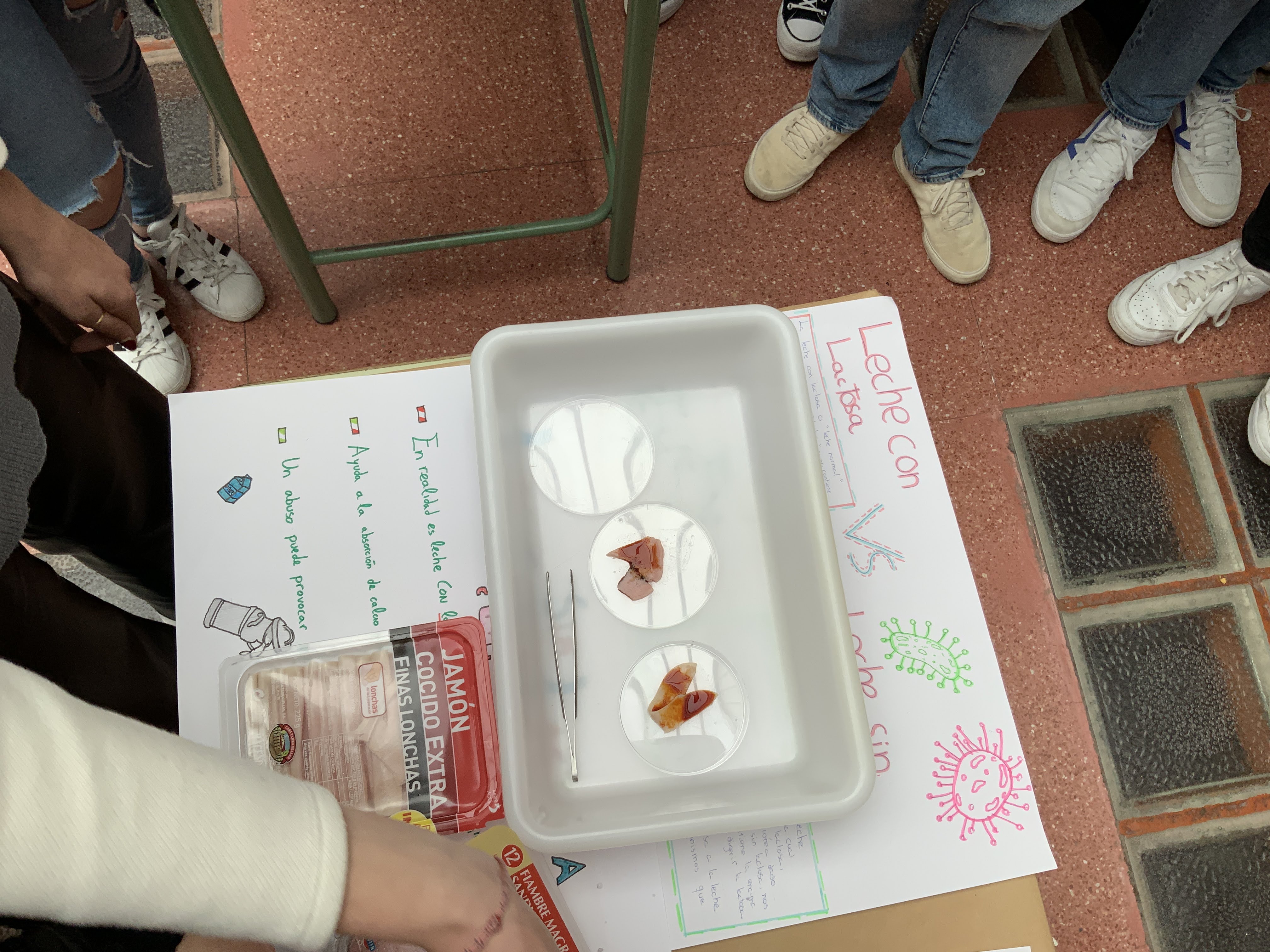 Pseudociencias y mitos alimentarios foto 4