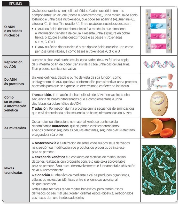 Resumo tena información e manipulación xénica 