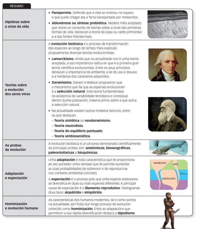 Resumo tema evolución 