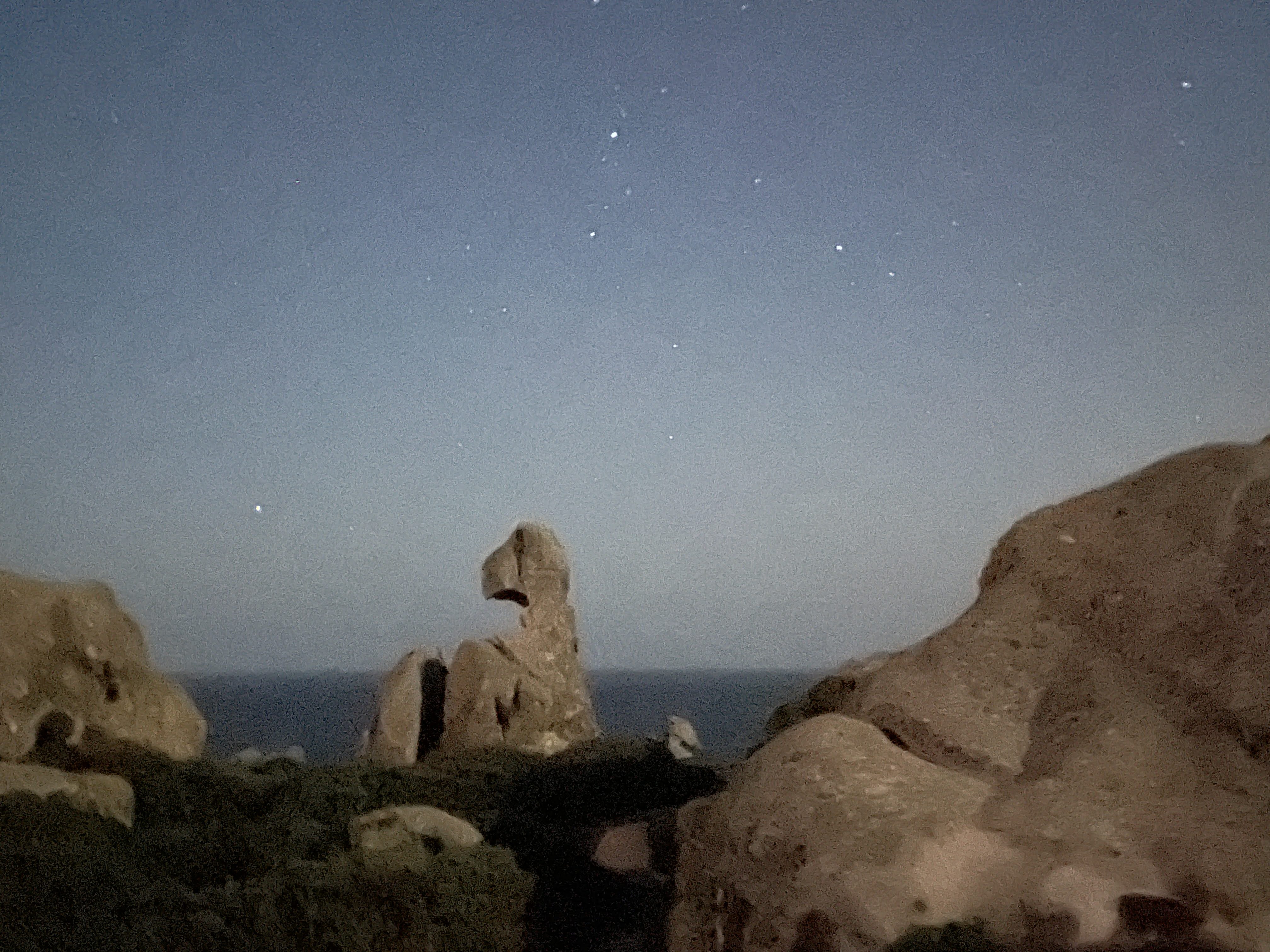 Tortuga Punta Nariga e estrelas