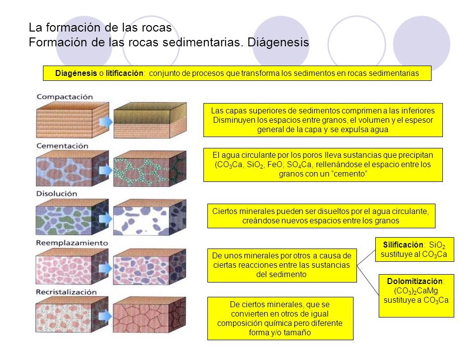 Litificación