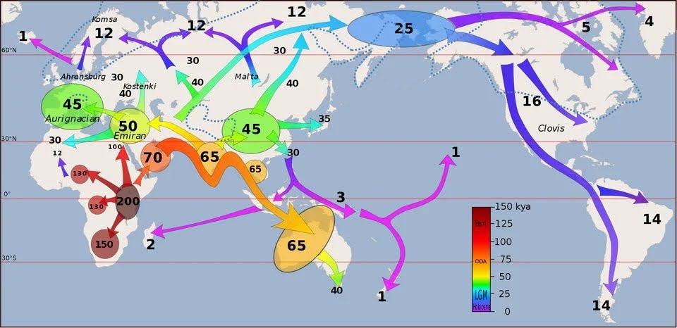 Dispersión Homo sapiens