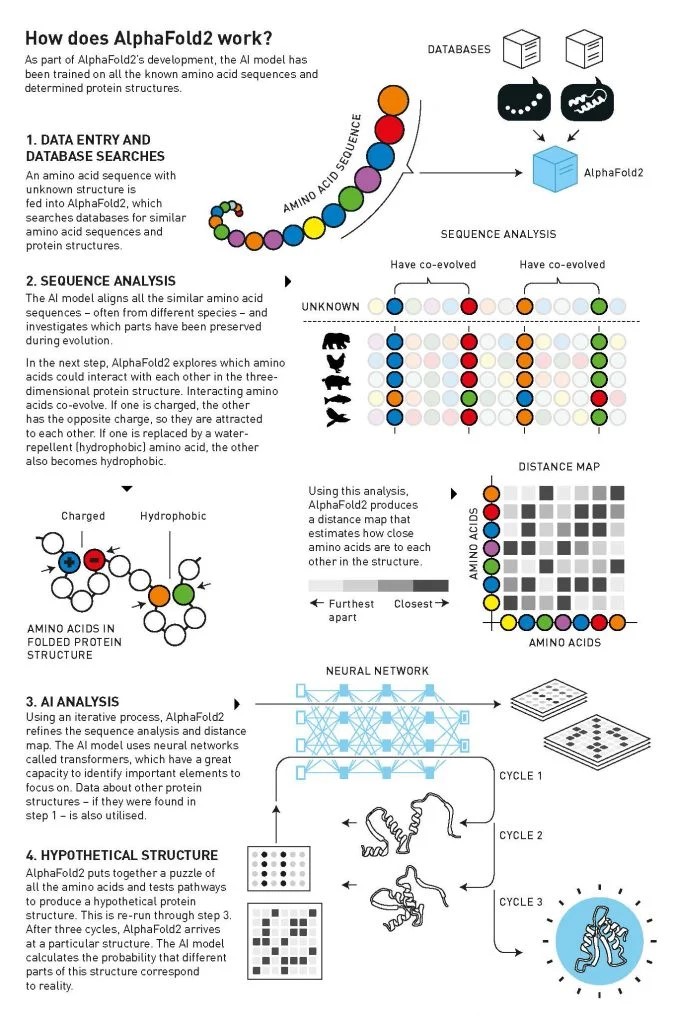 Explicación de alphaFold2