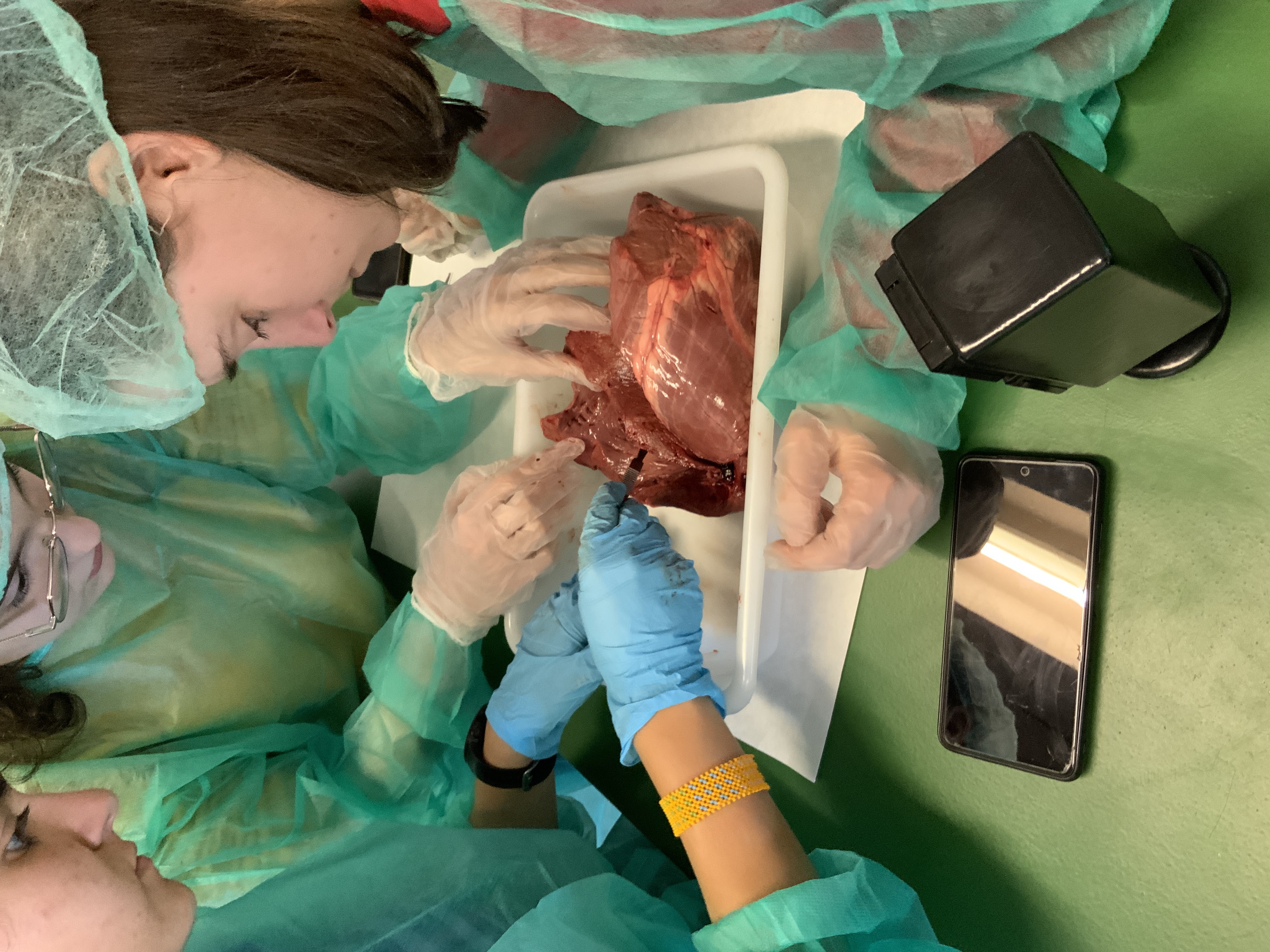 Fotos práctica corazón