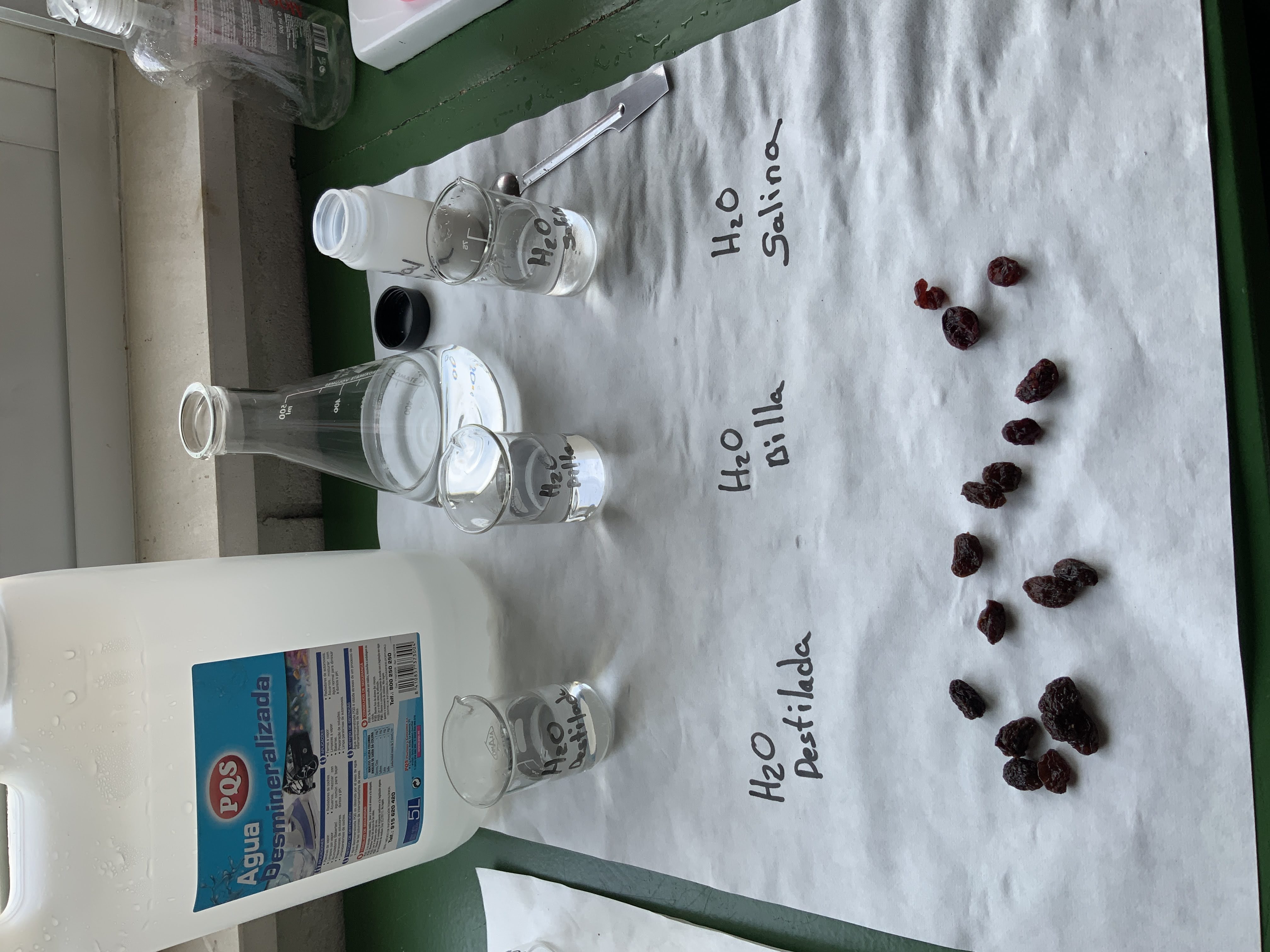 práctica de ósmose