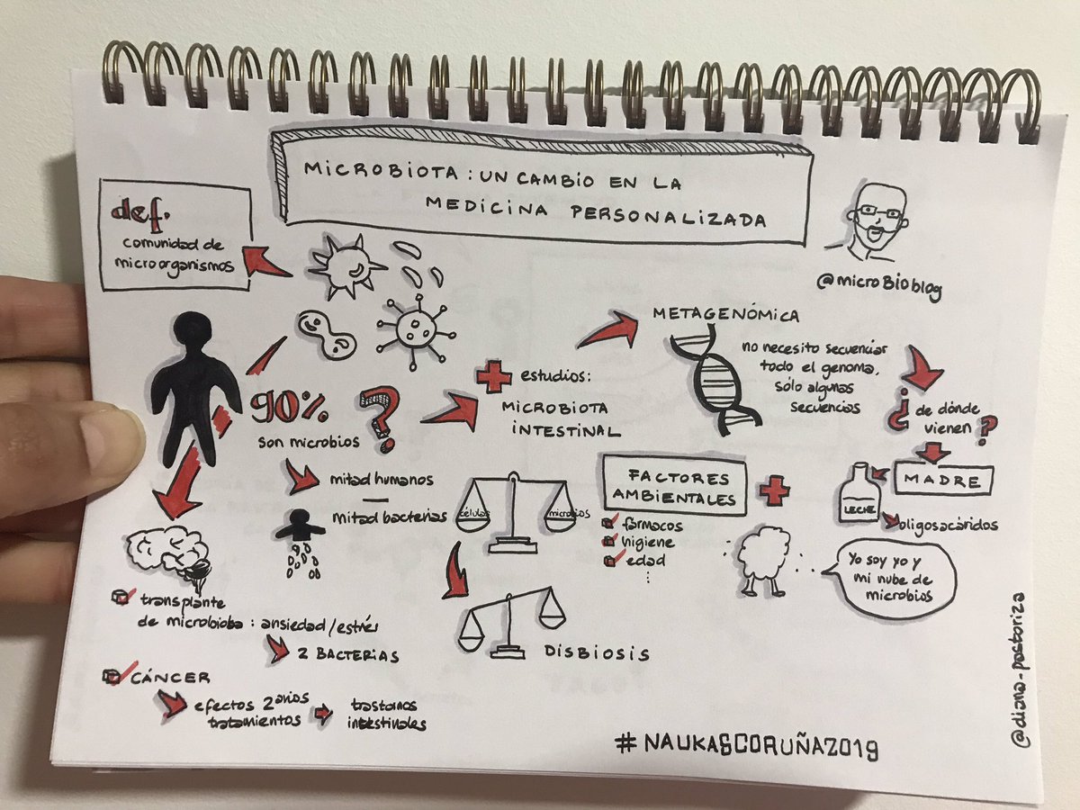 Infografía (Diana Pastoriza)