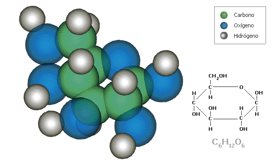 Molécula de glicosa