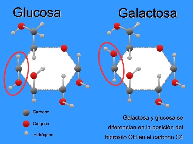 Moléculas de monosacáridos 2