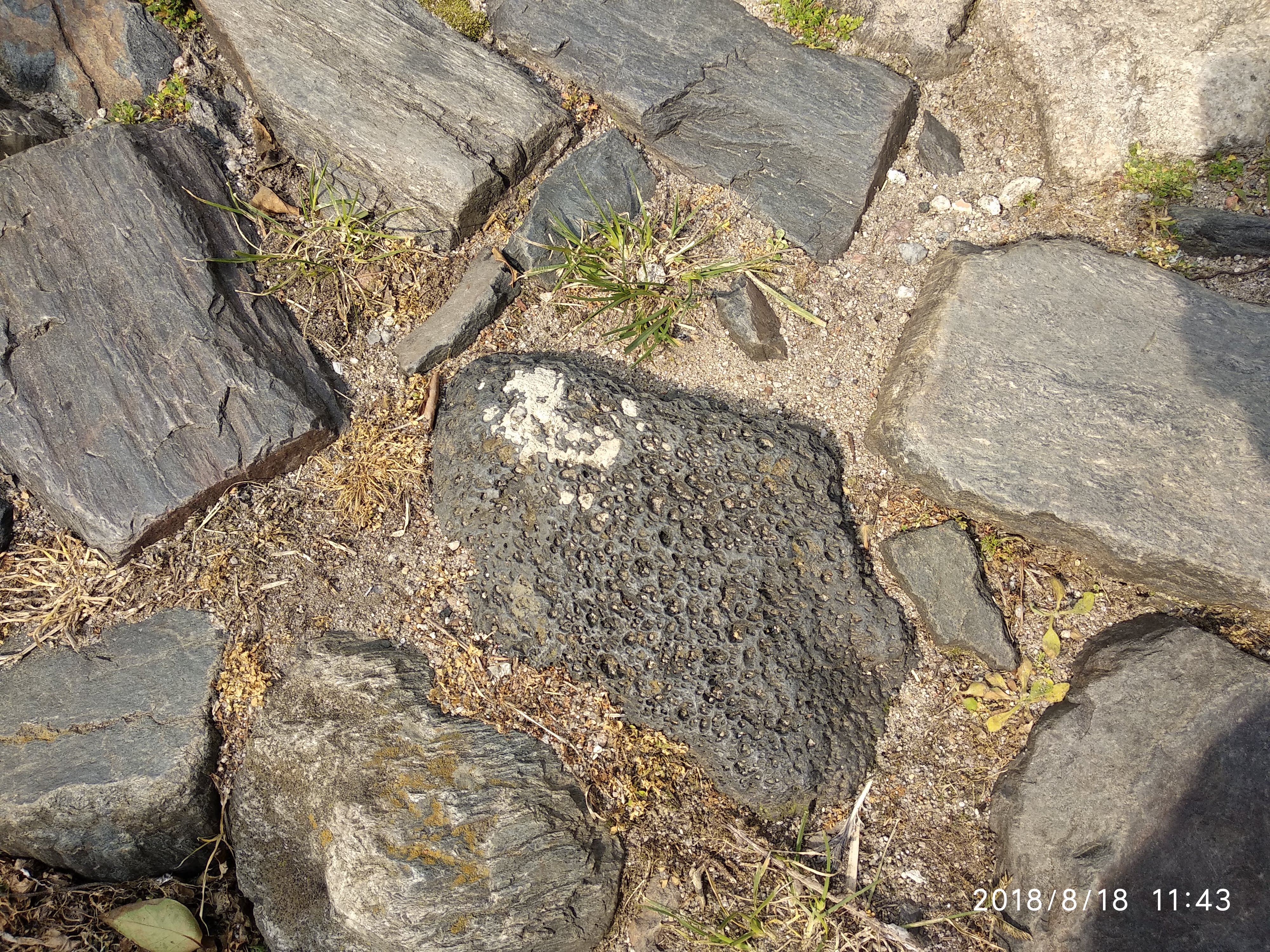 Foto Rocha volcánica Colonia de Sacramento 