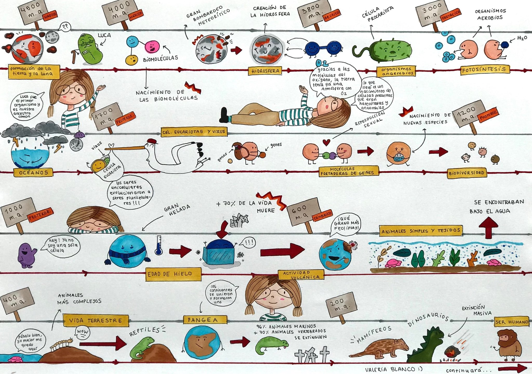 Línea de tiempo eras