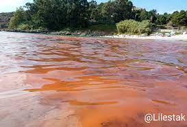 Marea vermella @Lilestak