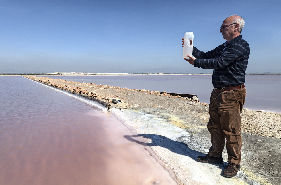 Salinas de Santa Pola. Francis Mojica