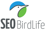 Foto Web SEO Birdlife 