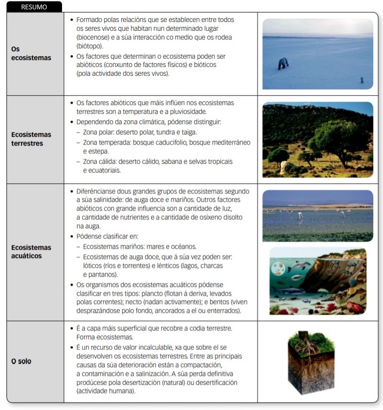 A ecosfera imaxe de resumo 