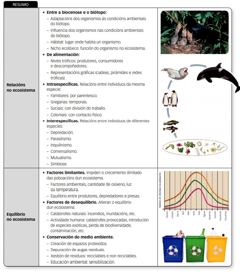 Foto resumo dinámica dos ecosistemas 