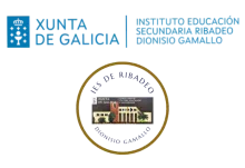 logo centro web