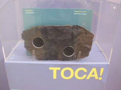 CIMG0403.jpg
