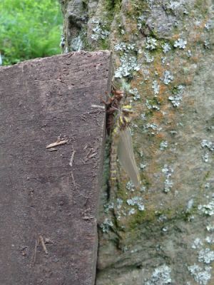 DSC00321~0.jpg