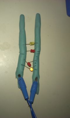 IMAG2543.jpg