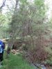 DSC00316.jpg