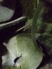 DSC00331.jpg