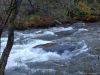 DSC00928.jpg
