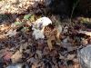 DSC00966.jpg