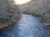 DSC00995.jpg