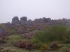 Manzaneda_2008_-_36.JPG