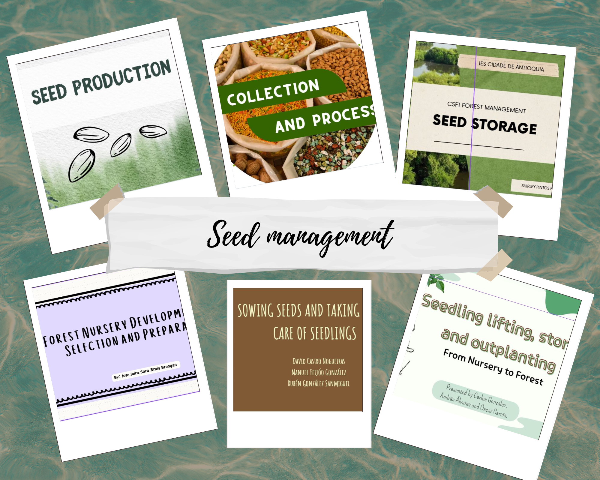 Seed management collage