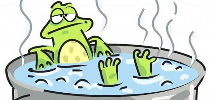 Dibujo de una rana apática en agua caliente