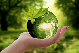 Ecología - Qué es, tipos, definición y concepto