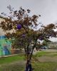 25N_2019_34.jpg