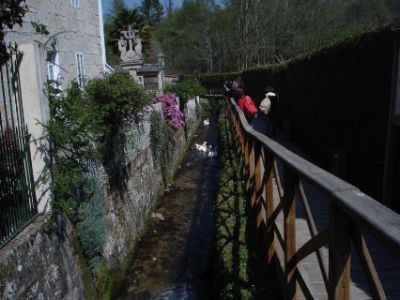 DSC03596~0.jpg