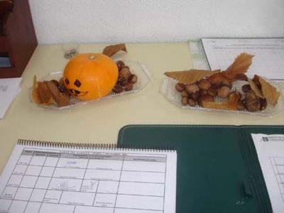 DSC04280.jpg