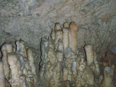DSCN6863.jpg