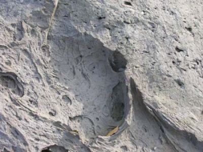 DSCN7058.jpg