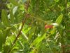 DSCN6774.jpg
