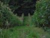 DSCN6781.jpg
