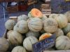 DSCN6978.jpg