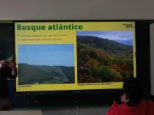 Bosque atlántico
