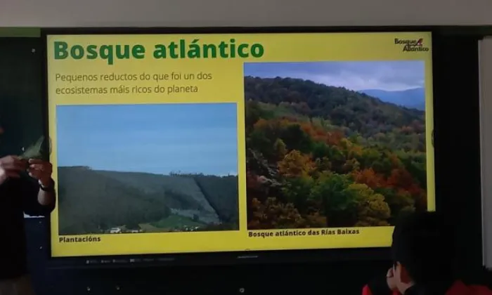 Bosque atlántico