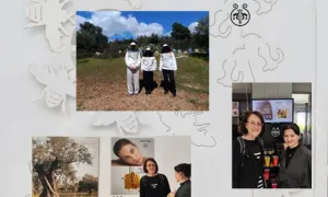 Erasmus a Grecia