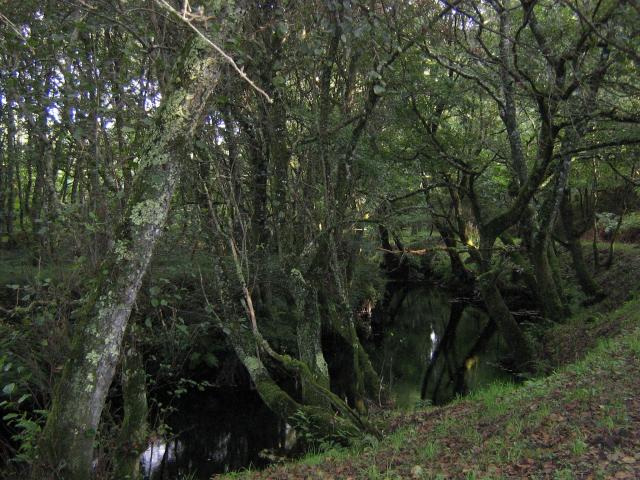 Laboratorio